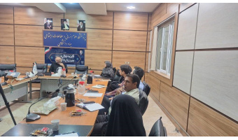 بررسی مبانی تصمیم‌گیری در زندگی روزمره در پژوهشگاه علوم انسانی و مطالعات اجتماعی جهاددانشگاهی