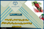 برگزاری نشست تخصصی(صیانت ازسرمایه اجتماعی فراهم شده ازجنگ تحمیلی رزیم صهیونی وآمریکای جنایتکار علیه ملت ایران)